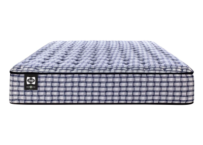 Sealy Insightful Tight Top Queen Mattress - Insightful Tight Top (Queen)