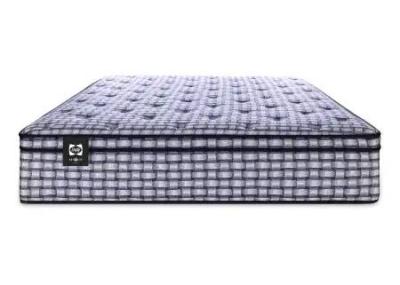 Sealy Intention Eurotop Plush Queen Mattress - Intention Euro Top (Queen)