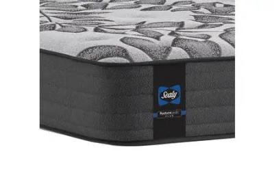 Sealy Lucasii Tight Top Queen Mattress - Lucasii Tight Top (Queen)