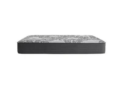 Sealy Lucasii Tight Top Queen Mattress - Lucasii Tight Top (Queen)