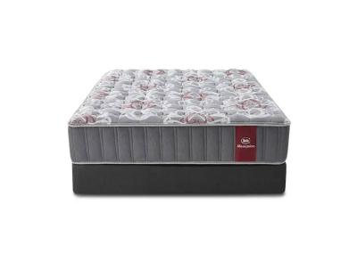 Serta Masterpiece Metropolitan Queen Mattress - Masterpiece Metropolitan (Queen)