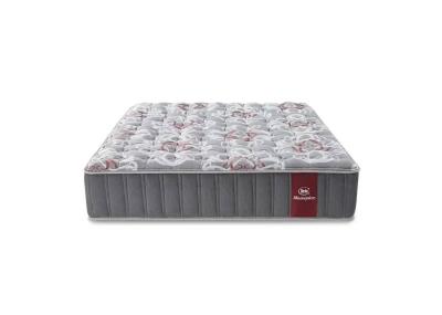 Serta Masterpiece Metropolitan Queen Mattress - Masterpiece Metropolitan (Queen)