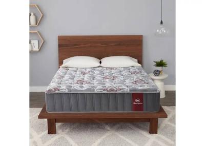 Serta Masterpiece Smithsonian King Mattress - Masterpiece Smithsonian (King)