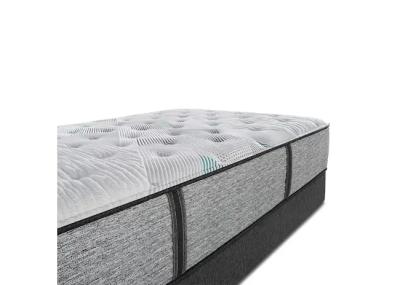 Beautyrest	Harmony Lux Survival Queen Size Mattress - Harmony Lux Survival (Queen)