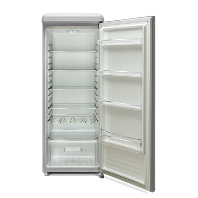 22" Epic 9 Cu. Ft. Capacity Retro All Refrigerator in Silver - ERAR88SVR