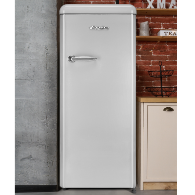 22" Epic 9 Cu. Ft. Capacity Retro All Refrigerator in Silver - ERAR88SVR