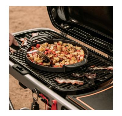 Weber Traveler Portable Liquid Propane Gas Grill - 9010001