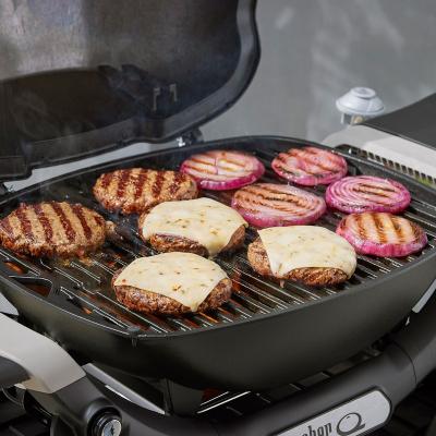 Weber Q 1200N 1 Burner Gas Grill in Liquid Propane - 1502198