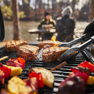 Weber Traveler Portable Liquid Propane Gas Grill - 1501741