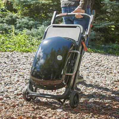 Weber Traveler Portable Liquid Propane Gas Grill - 1501740